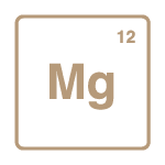 MAGNESIUM ABSORPTION
